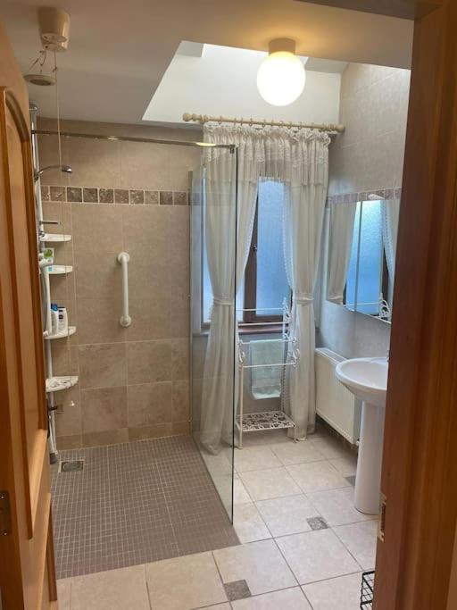Borodino Studio Apartment Enniscorthy Exterior photo